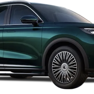 TIGGO 9